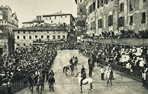 Race Collection: The Palio, Siena, Italy