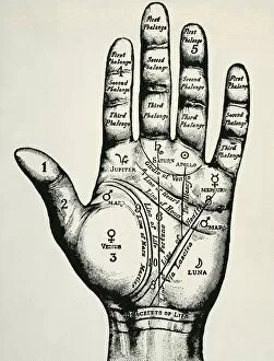 Prophecy Gallery: Palmistry. Planetary and zodiacal diagram of the