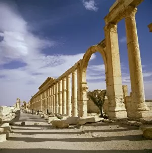 Palmyra, Syria - The Colonnade