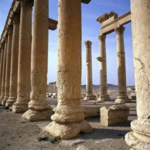 Palmyra, Syria - The Colonnade (close-up)