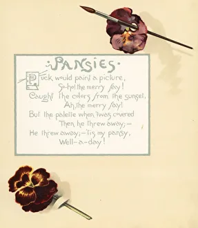 Pansies, Viola tricolor, paintbrush and palette Pansies, Viola tricolor, paintbrush and palette