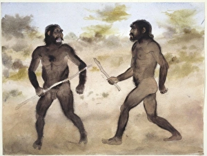 Paranthropus sp. (left) and Homo erectus (right) Paranthropus sp. (left) and Homo erectus (right)