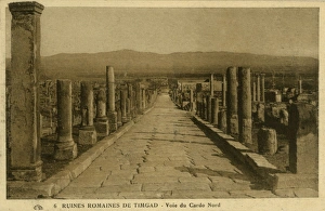 Path of North Cardo in the Roman ruins of Timgad Path of North Cardo in the Roman ruins of Timgad