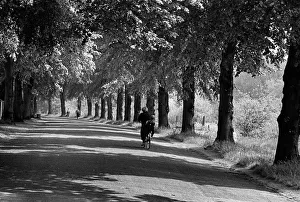 Path beside the River Severn, Quarry Park, Shrewsbury Path beside the River Severn, Quarry Park, Shrewsbury