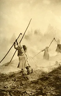 Peasant women burning forest debris, Finland Peasant women burning forest debris, Finland