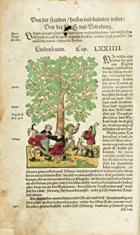 John innes centre/peasants dancing round linden tree full page John innes centre/peasants dancing round linden tree full page