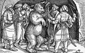 Performing Bear, Germany