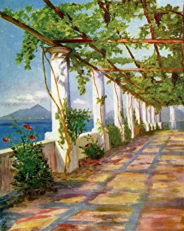 Pergola at the Villa San Michele above Anacapri, Italy Pergola at the Villa San Michele above Anacapri, Italy