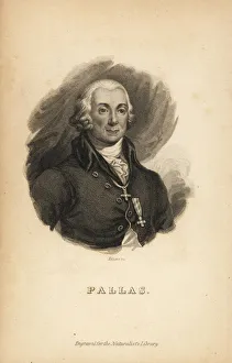 Peter Simon Pallas (1741-1811), German zoologist Peter Simon Pallas (1741-1811), German zoologist