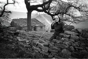 Prints of Hannah Hauxwell, 1926 ? 2018, was an English farmer who was the subject of several television documentaries United Kingdom Prints: Hannah Hauxwell Print - English Farmer