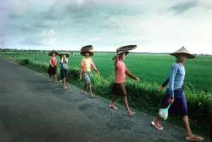 Women Rice Planters in Bali Print, circa 1985