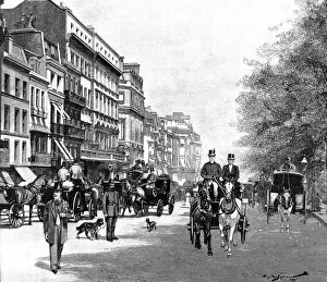 Images Dated 20th November 2004: Piccadilly, London, 1895