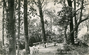 Picnic Bend - Mount Macedon, Macedon, Victoria Picnic Bend - Mount Macedon, Macedon, Victoria