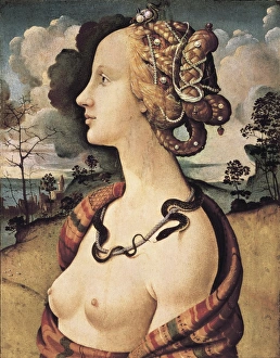 Piero di Cosimo, Pietro di Lorenzo, called (1462-1521) Piero di Cosimo, Pietro di Lorenzo, called (1462-1521)