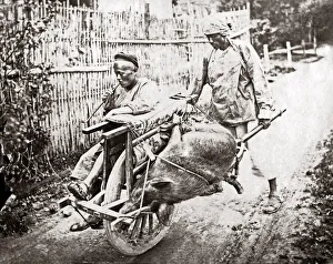 Pig and passenger on a wheelbarrow, China, circa 1880s (William Saunders) Pig and passenger on a wheelbarrow, China, circa 1880s (William Saunders)