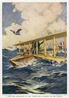 <b class=qtipBold><figcaption>Pigeon Saves the Day</figcaption></b><br>A broken down seaplane in the North Sea sends out a pigeon carrying an SOS message of help during the First World War.<br><em>© Mary Evans Picture Library</em> Pigeon Saves the Day