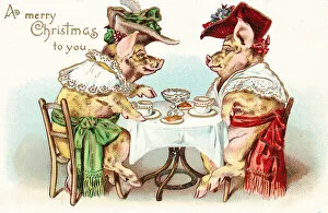 Anthropomorphism Gallery: Two pigs enjoying afternoon tea on a Christmas postcard