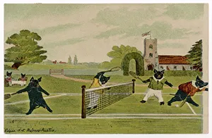 Tennis Gallery: Pigs Playing Tennis 1904