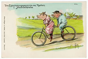Tandem Gallery: Pigs Ride in Tandem 1898