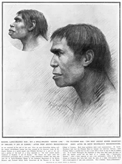 Piltdown man reconstructed Piltdown man reconstructed