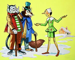 Didelphidae Gallery: Pinocchio Collection