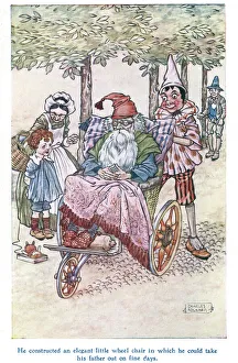 Didelphidae Gallery: Pinocchio Collection