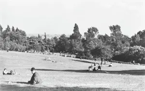 Prints of This black and white photograph captures a lively scene in Waterlow Park, Highgate. People of all ages are enjoying a sunny day outdoors, sitting on the grass, playing, and relaxing among the trees London Prints: A Day at Waterlow Park Print, 1914