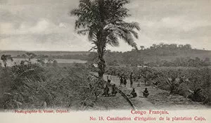 Plantations Gallery: Plantation at Lake Caijo, French Congo