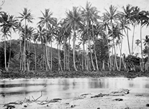 Plantation. Ovalau Island, Fiji Plantation. Ovalau Island, Fiji