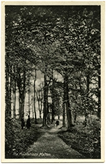 North Yorkshire Gallery: 