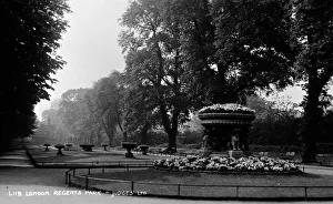 Plants and trees in Regents Park, London Plants and trees in Regents Park, London