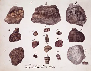 Plate 1 from Specimens of British Minerals? vol. 1 by P. Ras Plate 1 from Specimens of British Minerals? vol. 1 by P. Ras