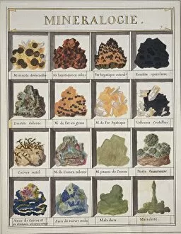 1769 Collection: Plate 7a from Histoire naturelle? (1789)