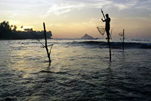 Pole fishermen, Sri Lanka - 5