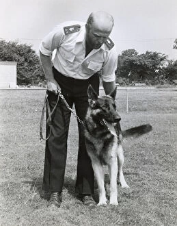 Trainers Gallery: Police dog handler and dog, Camborne, Cornwall