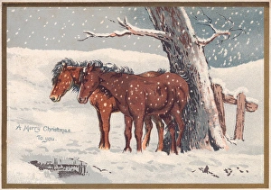 Two ponies in the snow on a Christmas card Two ponies in the snow on a Christmas card