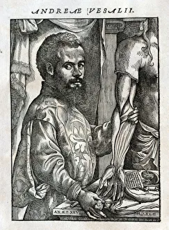 Portrait of Andreas Vesalius