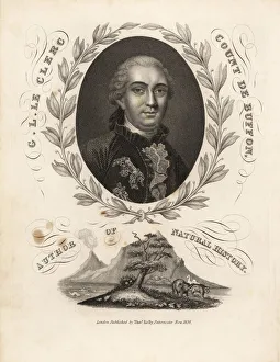 Portrait of Count Georges Buffon inside laurel garland Portrait of Count Georges Buffon inside laurel garland