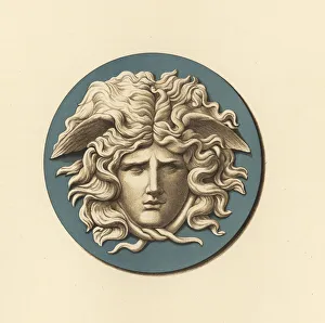 Medallion Gallery: Portrait medallion of the Medusa