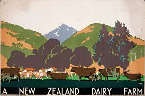 Poster advertising a New Zealand Dairy Farm