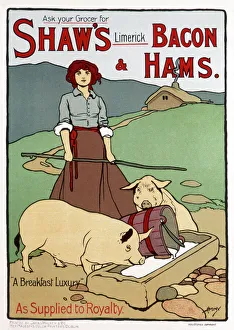 Poster advertising Shaws Bacon and Hams Poster advertising Shaws Bacon and Hams