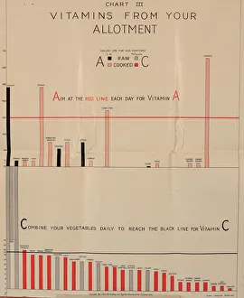 Poster, Chart III, vitamins from your allotment, WW2 Poster, Chart III, vitamins from your allotment, WW2