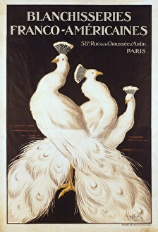 Poster of the French-American Laundries, by Leonetto Poster of the French-American Laundries, by Leonetto