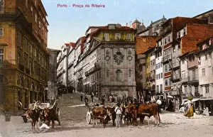 Praca da Ribeira, Porto, northern Portugal