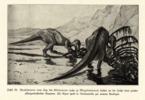 Predatory Megalosaurus feeding on a dinosaur corpse Predatory Megalosaurus feeding on a dinosaur corpse