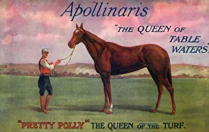 Pretty Polly - Queen of the Turf - sponsored by Apollinaris Pretty Polly - Queen of the Turf - sponsored by Apollinaris