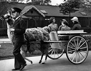 Princess Elizabeth, Princess Margaret at the zoo Princess Elizabeth, Princess Margaret at the zoo