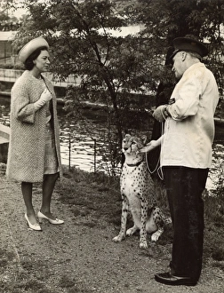 Princess Margaret meeting a Cheetah and Zoo Keeper Princess Margaret meeting a Cheetah and Zoo Keeper