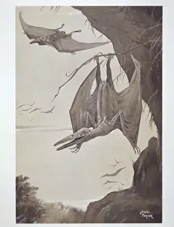 Cretaceous Period Animals Prints: Pterodactyl