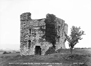 Derelict Gallery: Pucks Castle and Fairy Thorn, Shankill, Co. Dublin